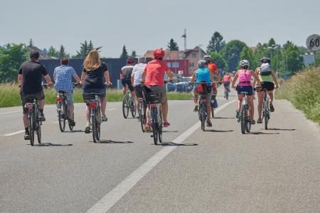 自行车, 集团, 乡间小路, 慢慢地, 速度, 自行车, 骑自行车