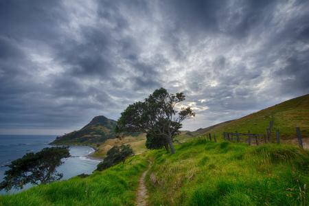 新西兰, 路径, 线索, 乔鲁姆温安洛, 羊, 徒步旅行, 云的天空