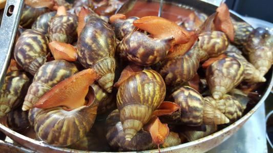 蛞蝓, 烤蛞蝓, 中国食品, 街头食品