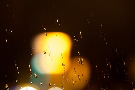 雨, 滴灌, 反应, 折射, 橙色, 黄色, 模糊