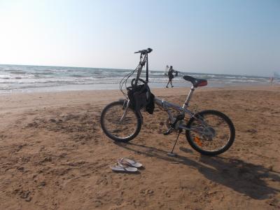 海, 海滩, 日落, 黎明, 自行车, 锻炼, 景观