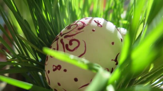 春天, 复活节, 鸡蛋, 复活节彩蛋