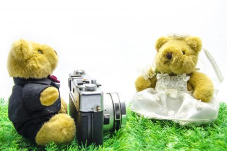 情人节, 婚礼, 熊, 老相机, 老式相机, 胶片相机, 白色背景
