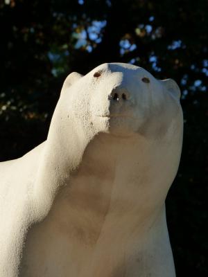 雕塑, 白熊, 达西公园, 第戎, 弗朗索瓦绒球