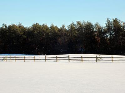 冬天, 字段, 栅栏, 树, 蓝蓝的天空, 水平, 雪