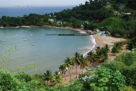 特立尼达和多巴哥, 海滩, 海, 棕榈, 树, 蓝色, 绿色