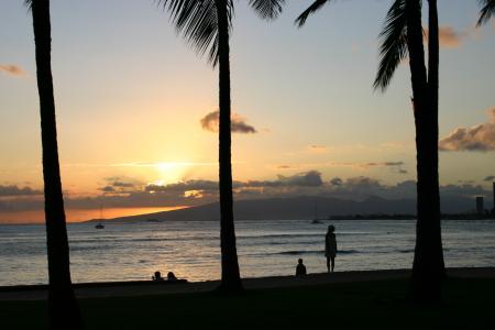 夏威夷, 威基基, 檀香山, 海滩, 晚上, 棕榈树