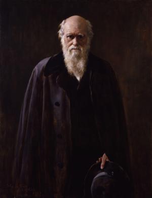 查尔斯·达尔文, 达尔文, 进化理论, 绘画, 1883