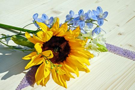 太阳花, 花, 开花, 绽放, 黄色, 夏季, 多彩