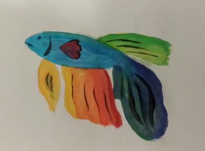 水彩, 鱼, 孔雀鱼, 艺术, 绘图, 孩子们, 儿童