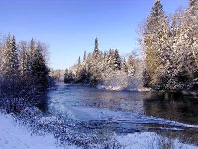 威斯康星州, namekagon 河, 冬天, 雪, 冰, 森林, 树木