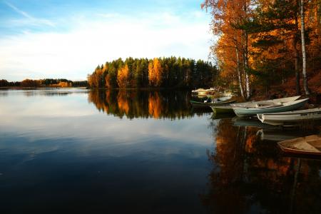 秋天, 小船, 平静, 秋天, 森林, 湖, 树木