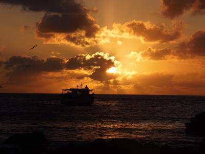 日落, 费尔南多-de 迪诺罗尼亚, 海滩, mar, 小船, 海, 自然