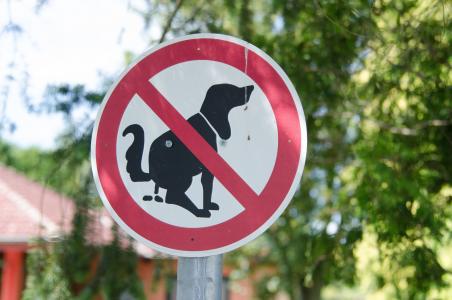 狗, 禁令, 标志, 狗禁令, 绿色, 公园