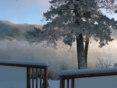 冬天, 赛季, 结霜, 树木, 自然, canim 湖, 不列颠哥伦比亚省