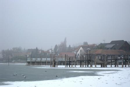 allensbach, 冻结, 康斯坦茨湖, 冬天, web