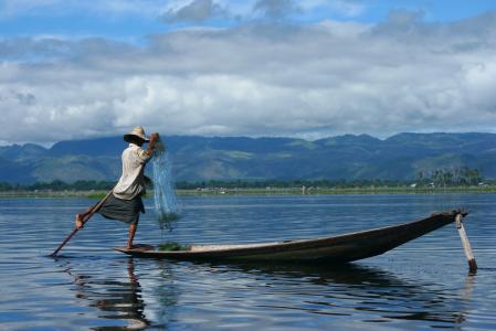 缅甸, 茵莱湖, 渔夫, 小船, 狩猎, 湖