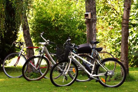 自行车, 周期, 自行车, 车轮, 骑自行车, 体育, 两轮式的车辆