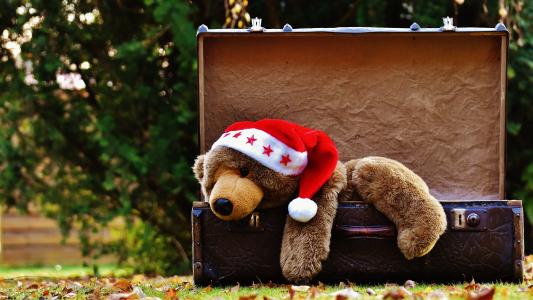 圣诞节, 行李, 古董, 泰迪, 软玩具, 毛绒玩具, 玩具