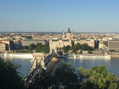 布达佩斯, vista, 多瑙河, 桥梁, 景观