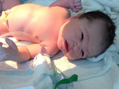 新生儿, 出生, 宝贝, 宝贝女孩, 可爱, 新增功能, 医院