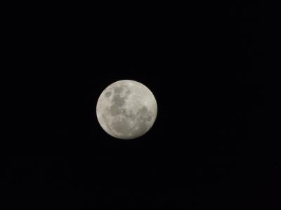 月亮, 晚上, 月光, 天文学, 月球表面, 满月, 行星的月亮