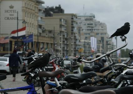 自行车, 马鞍, 荷兰, 车轮, 关闭, 自行车, 自行车