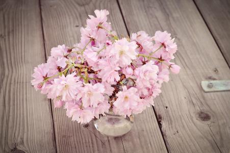 樱花, 樱花分行, 花, 粉色, 粉红色的花朵, 花瓶, 木材