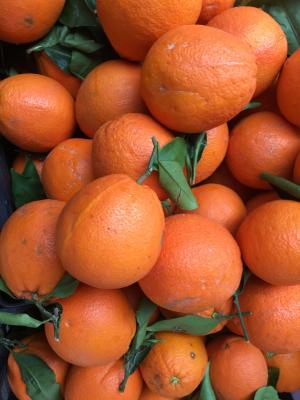 橘子, 水果, 潮湿, 健康, 维生素, 维生素 c, 农民本地市场