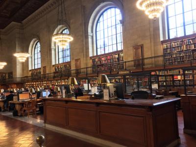 纽约公共国家图书馆, 公共, 建设, 图书馆, 美国, 具有里程碑意义, 美国