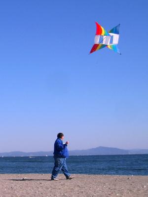 nobi 海滩, 放风筝, 风, 男子, 日语, 蓝蓝的天空, 多彩