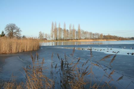 冬天, 结冰的湖面, 荷兰, 感冒, 荷兰, 水