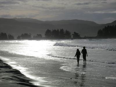 夫妇, 步行, 反思, 海滩, 剪影, 海岸, 晚上