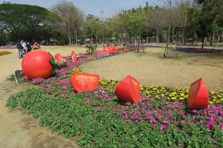 台南花卉提供, 番茄, 浮萍农场公园