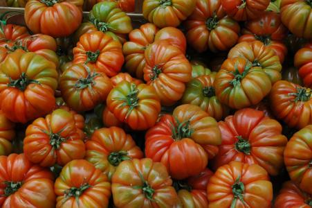 西红柿, 有机, 水果