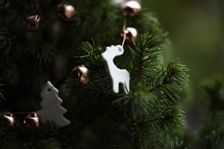 圣诞节, 圣诞装饰, 圣诞树, 特写, 装饰