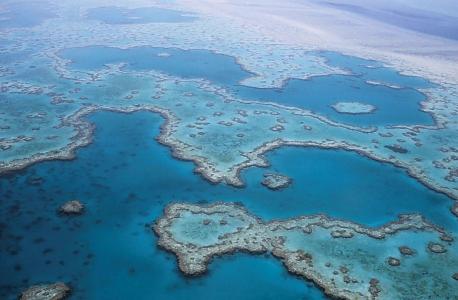 大堡礁, 珊瑚, 澳大利亚, 昆士兰州, 海洋, 海岛帝国, 珊瑚礁