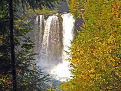 瀑布, 麦肯齐河, 俄勒冈州, 景观, 自然, 河, 水
