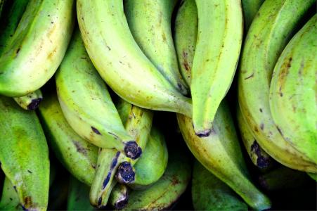 烹饪香蕉, 香蕉, 绿色, 市场, 健康, 水果, 营养
