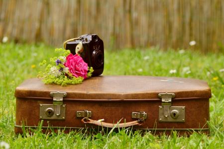 行李, 老, 旧行李箱, 皮皮箱, 花束, 老相机, 浪漫