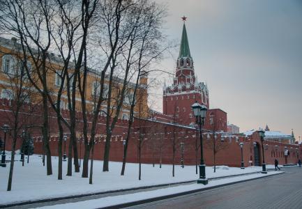 莫斯科, 墙上, 克里姆林宫, 塔, 冬天, 光秃秃的树上, 雪