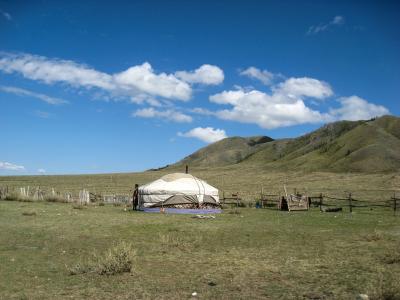 蒙古包, 蒙古, 草原