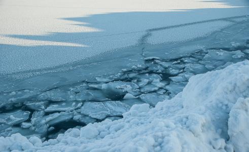 冰, 浮冰, 海果冻, 北极海