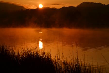 日出, 池塘, 水, 雾, 早上, 小山, 自然