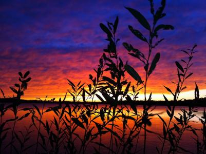 日落, 威斯康星州, 力量湖, 云彩, 中西部, 颜色, 水
