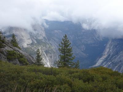 约塞米蒂, 雾, 优胜美地国家公园, 加利福尼亚州, 景观, 自然, 内华达山脉