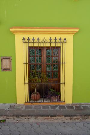 门, 殖民地, 杨树, 墨西哥, 光栅