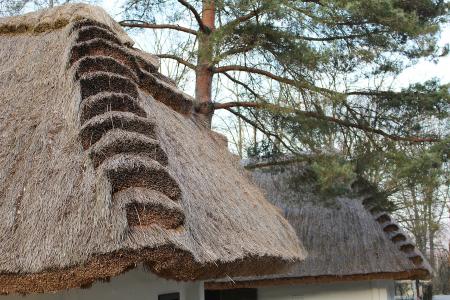 茅草的屋顶, 稻草屋顶, 稻草