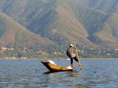 渔夫, 茵莱湖湖, 缅甸, 捕鱼, 净额, 桨, 传统