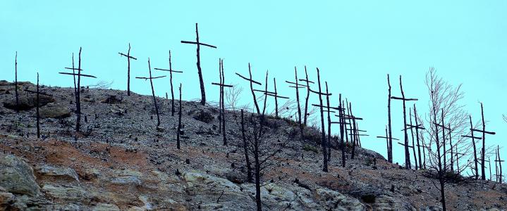 森林火灾, 被烧的山, 退化, 死亡, 艺术十字架, 燃烧的木柴